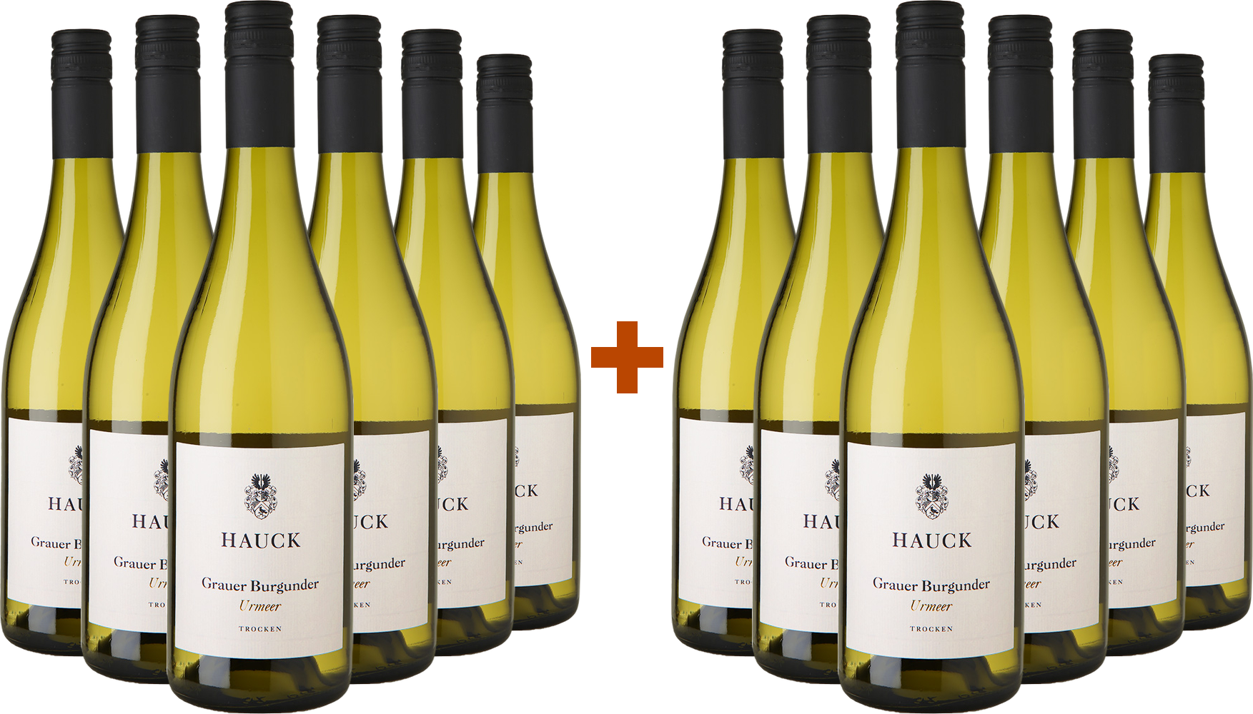 6+6 Paket Urmeer Grauburgunder