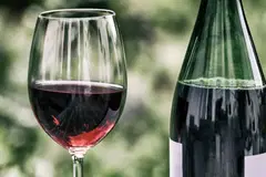 Primitivo Salento 1