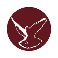 Claudio Borgogno Logo