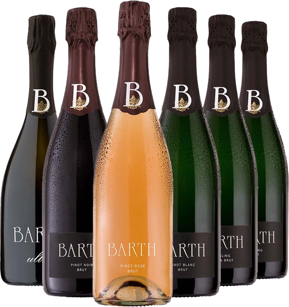 Großes VDP Sekt-Probierpaket BIO BIO