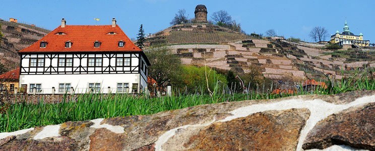 Hoflößnitz