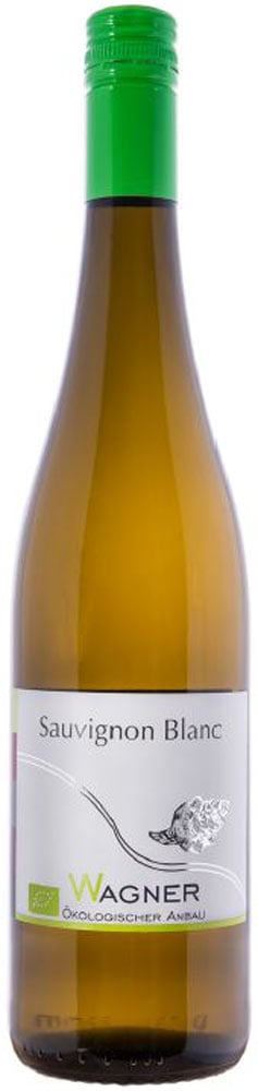 2023 Sauvignon-Blanc BIO reflection