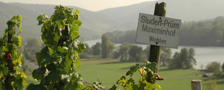 Studert-Prüm