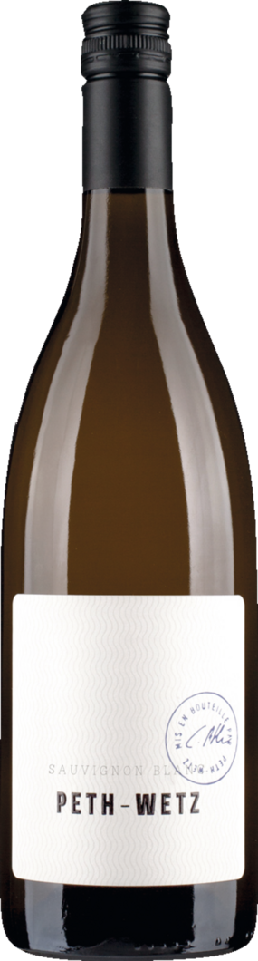 2025 Peth-Wetz Sauvignon Blanc BIO