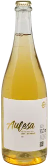 2022 Aulesa