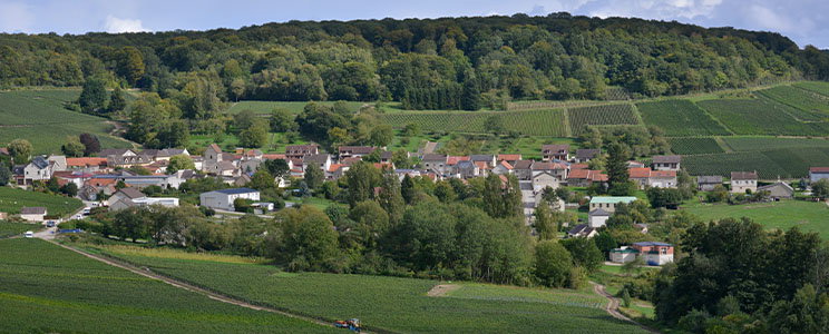 Mondet