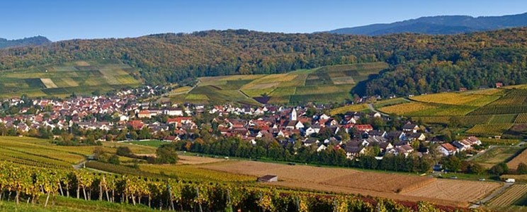 Pfaffenweiler Weinhaus