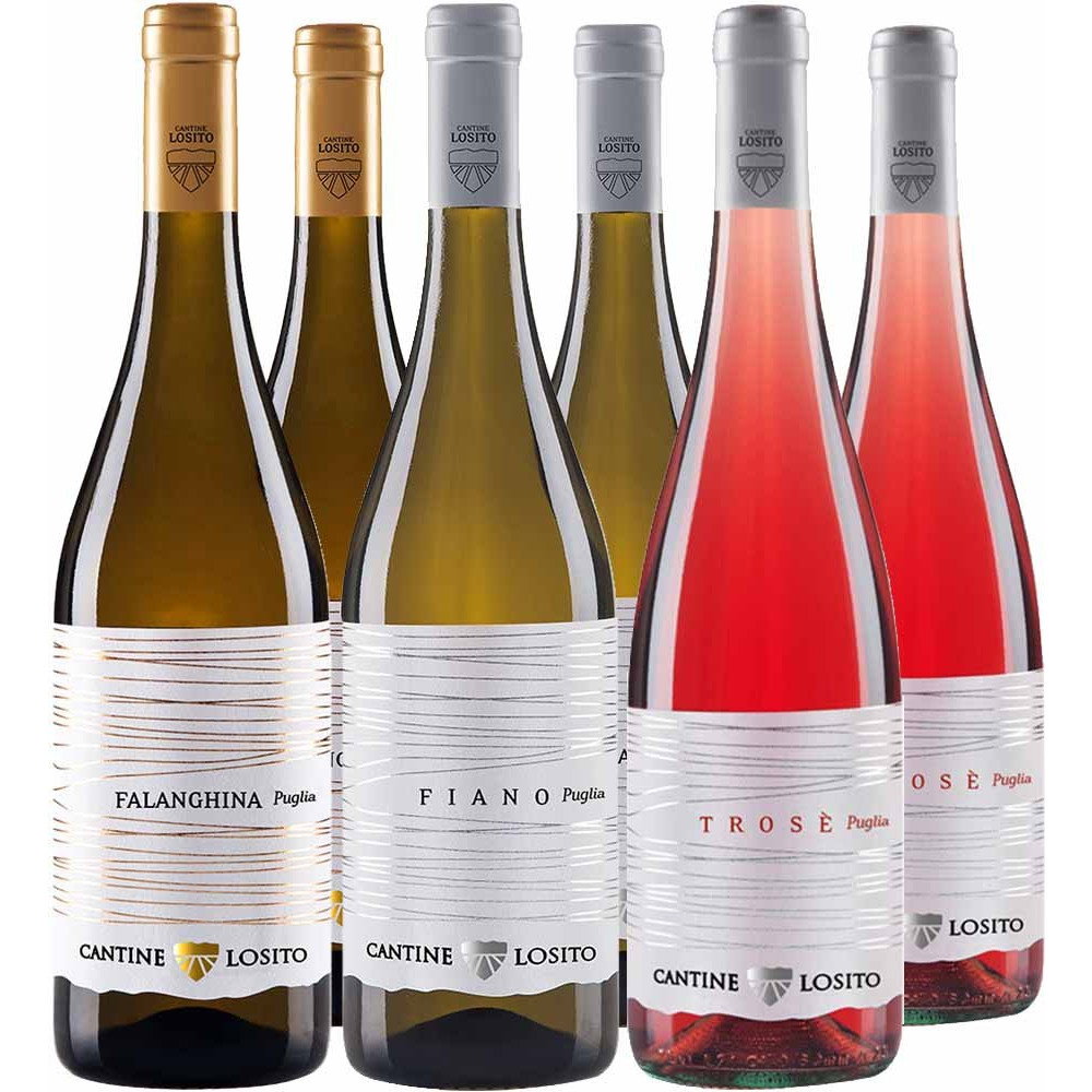 Cantine Losito Puglia Kennenlern-Paket BIO