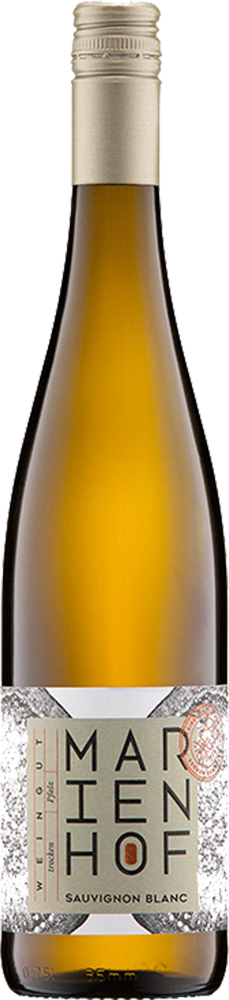 2025 Sauvignon Blanc BIO