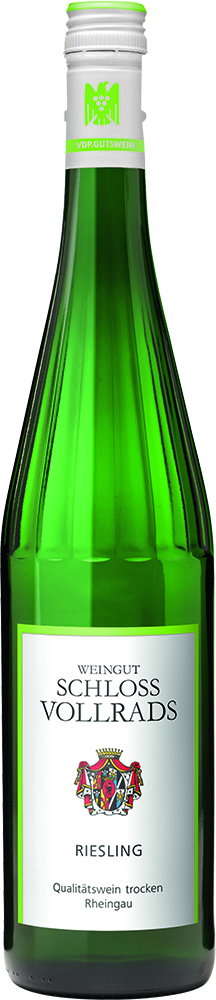 2024 Gutsriesling "Der Trockene" BIO