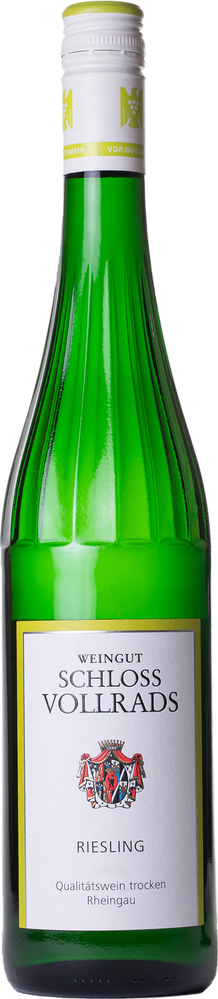 2024 Gutsriesling "Der Trockene" BIO