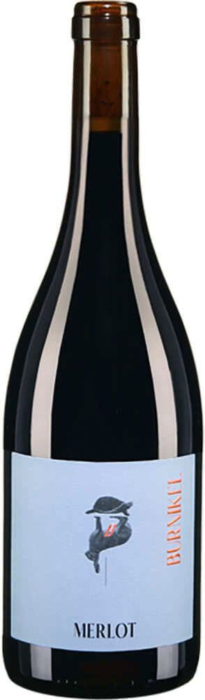 2023 Merlot Rotwein