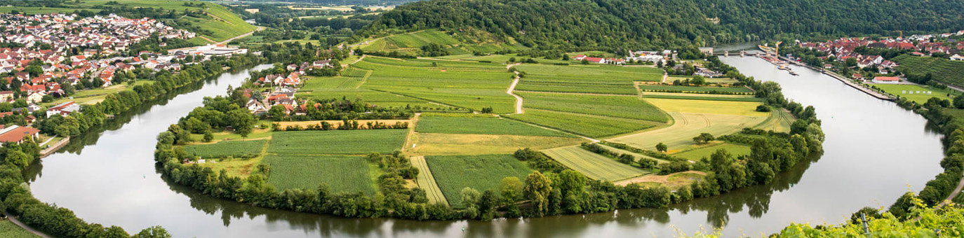 Weite Neckarschleife mit Weinbergen, Feldern und Ortschaften in Württemberg.