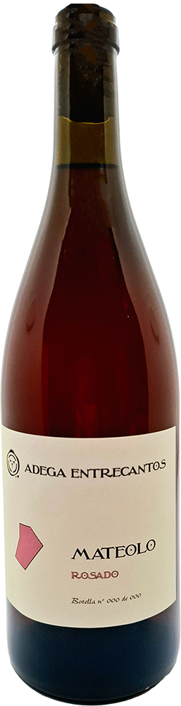 2024 Mateolo Rosado
