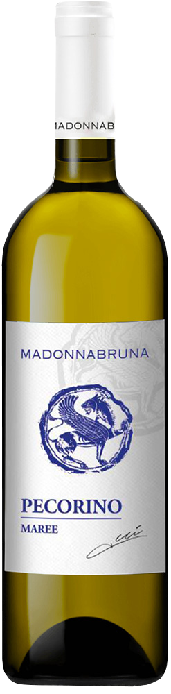 2025 Maree Falerio Pecorino DOC