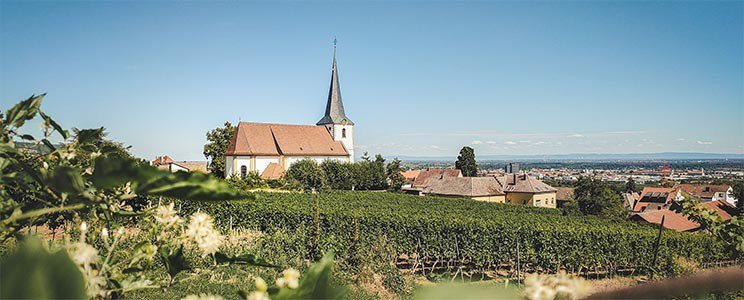 Georg Naegele - Schlossbergkellerei