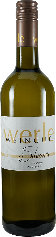 2025 Silvaner "Alte Reben"