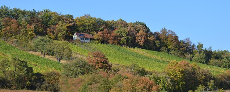 R&S Düll