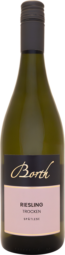 2024 Riesling Spätlese