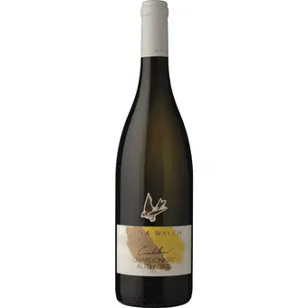 2025 Cardellino Chardonnay