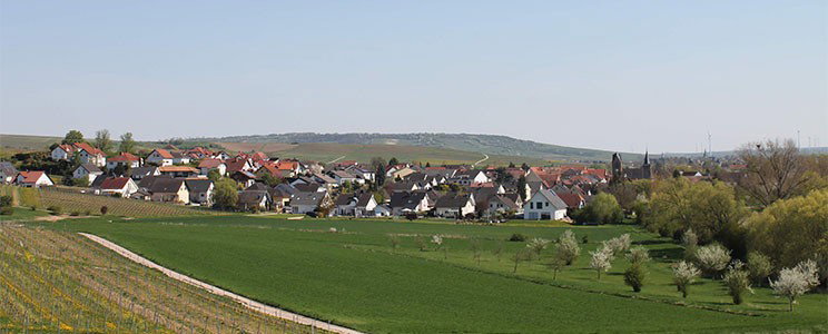 Werle