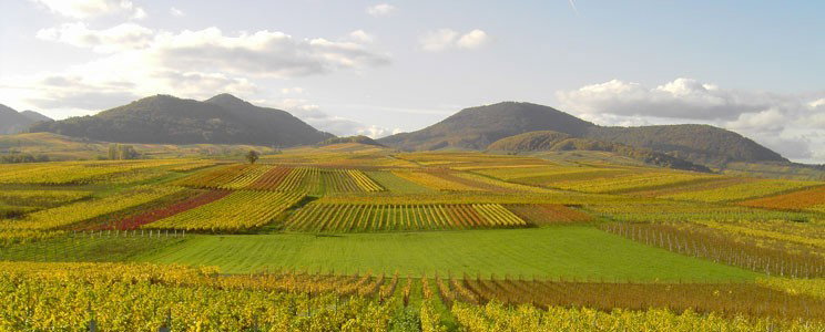 Becker - Heißbühlerhof