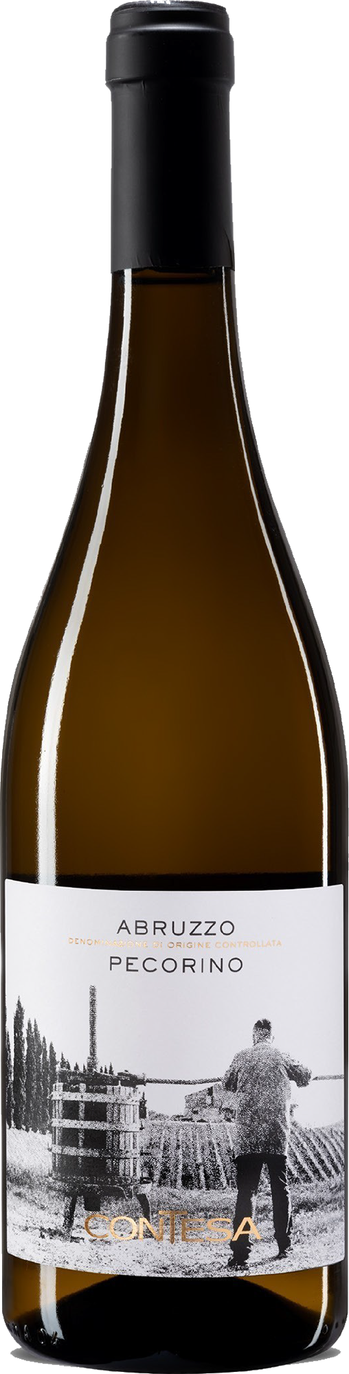 2025 Pecorino Abruzzo DOC BIO