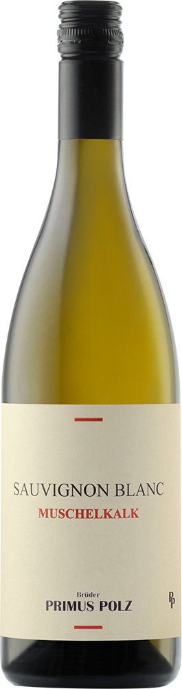 2025 Sauvignon Blanc Muschelkalk - Slowenien