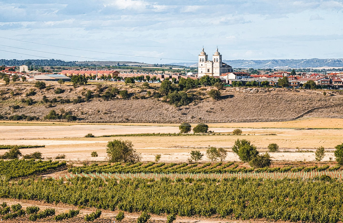 Casa Grulla