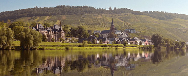 Weingut Schloss Lieser