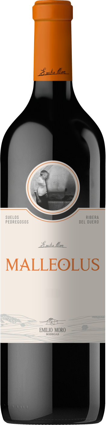 2022 Malleolus Ribera del Duero DO