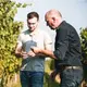 Weingut Josef Bauer