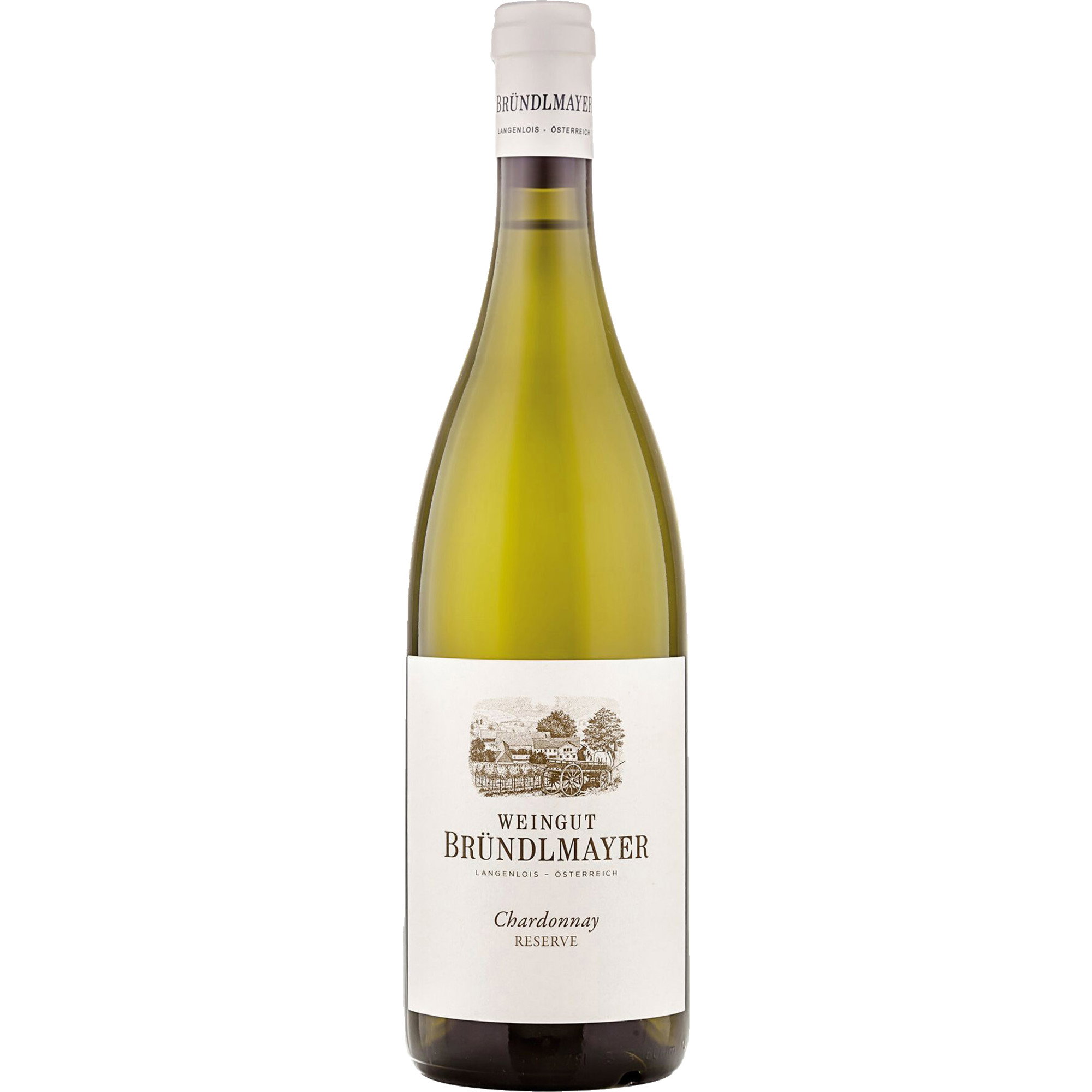 2023 Ried Steinberg Chardonnay Reserve BIO reflection