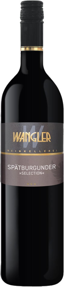 2022 Beilsteiner Wartberg Spätburgunder - S