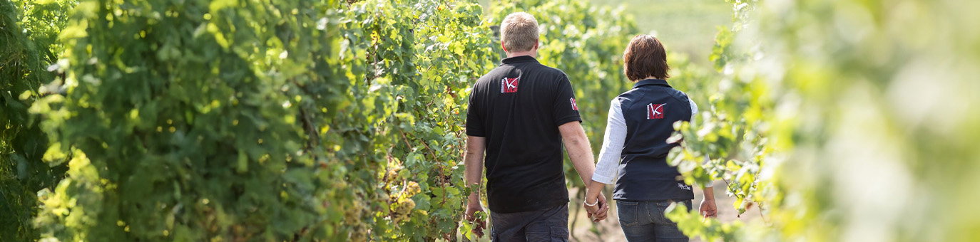 Weinregion Pfalz mit Weinbergen und herbstlicher Landschaft