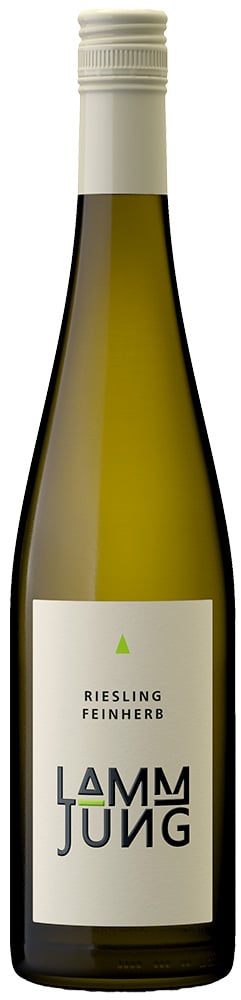 2022 Basis Riesling Rheingau reflection