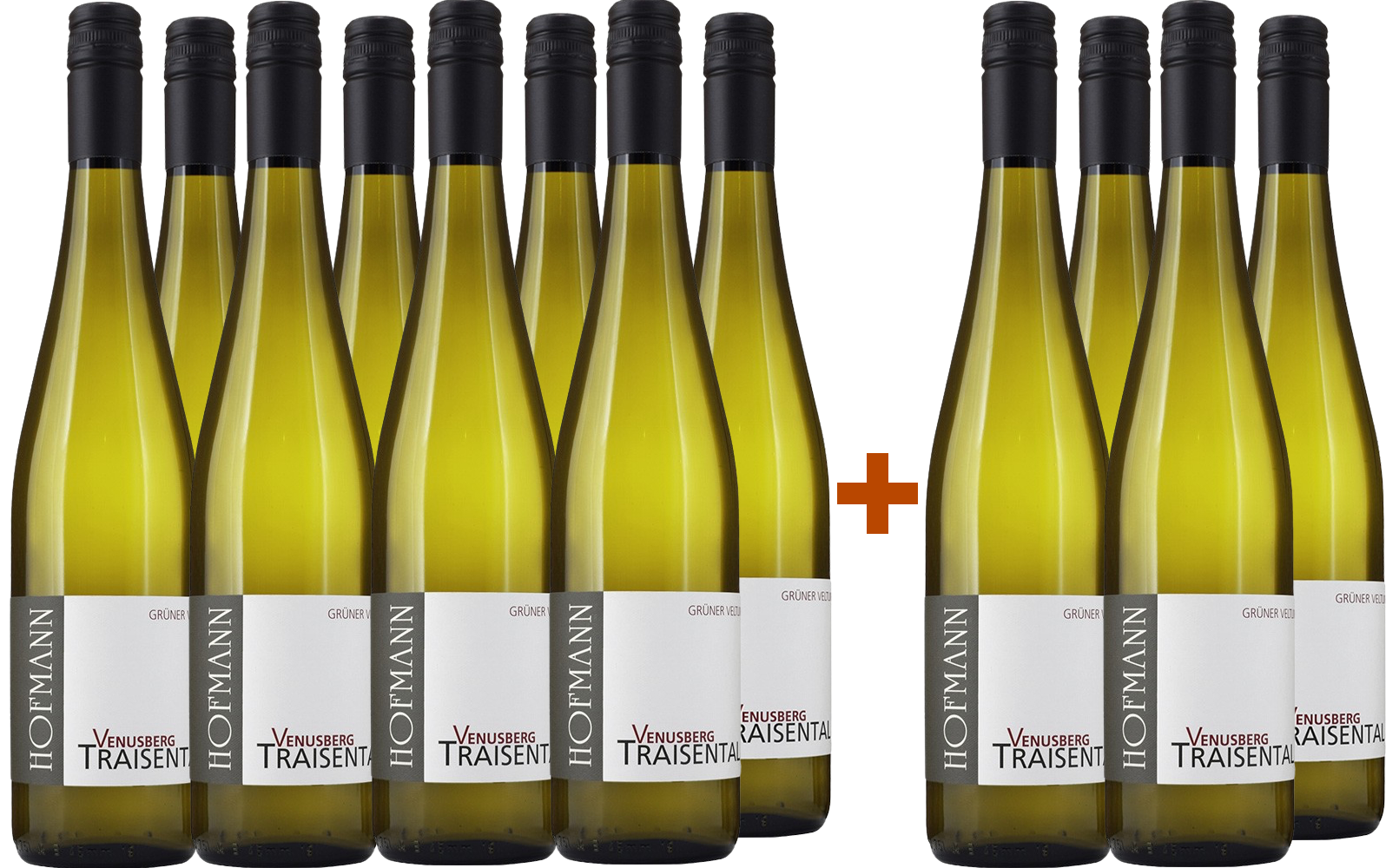 8+4 Paket Grüner Veltliner Venusberg Traisental DAC BIO BIO