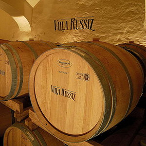 FONDAZIONE VILLA RUSSIZ