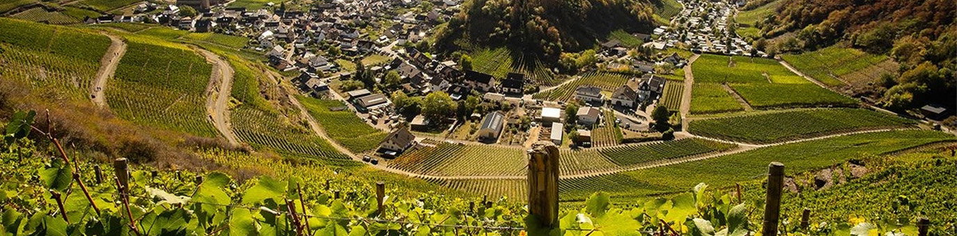 Weinregion Ahr mit Weinbergen und Blick über das Ahrtal