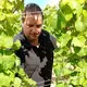 Weingut Antony