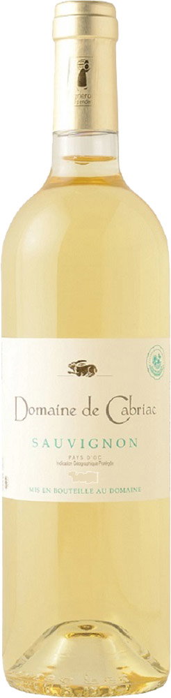 2024 Sauvignon Blanc Pays d'Oc IGP