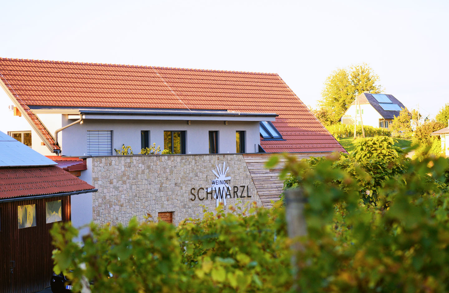 Johannes Schwarzl