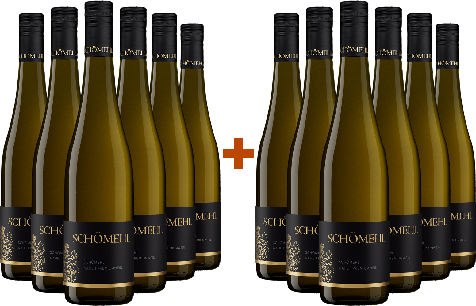 6+6 Paket Nahe Riesling