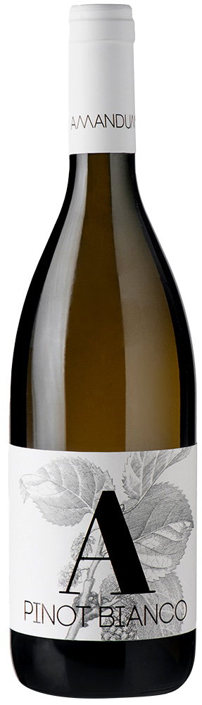 2018 Pinot Bianco Friuli Isonzo DOC