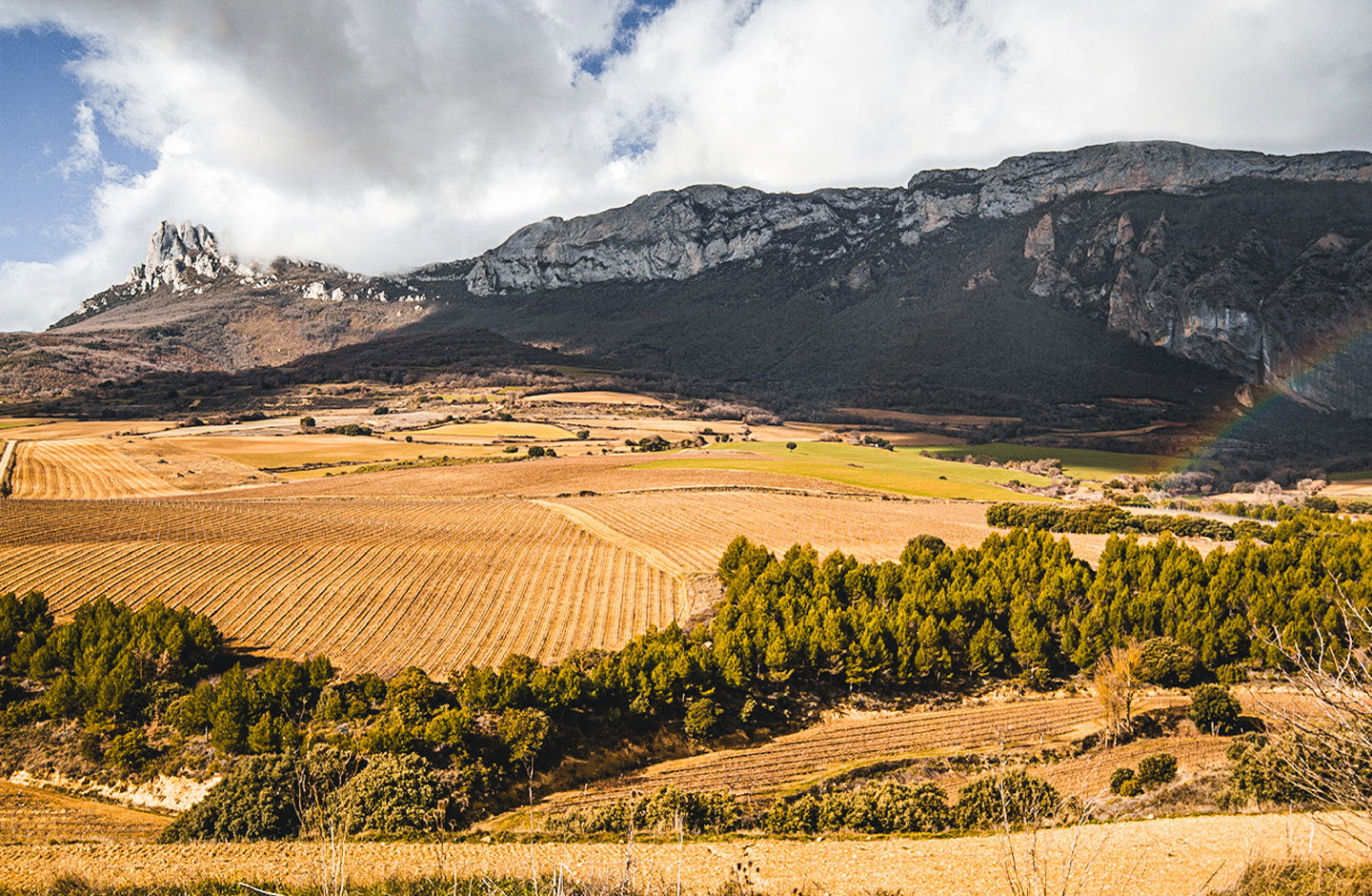 Vallobera