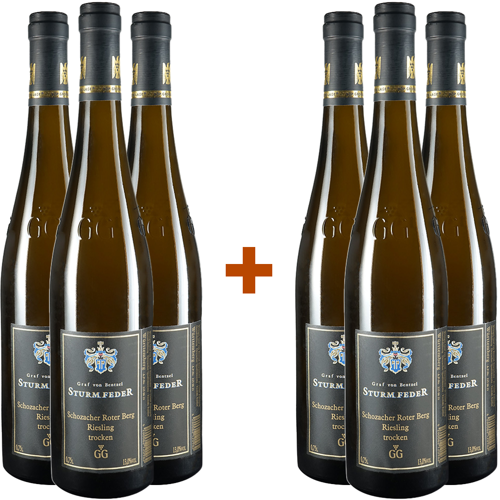 3+3 Paket 2019 Riesling Großes Gewächs trocken