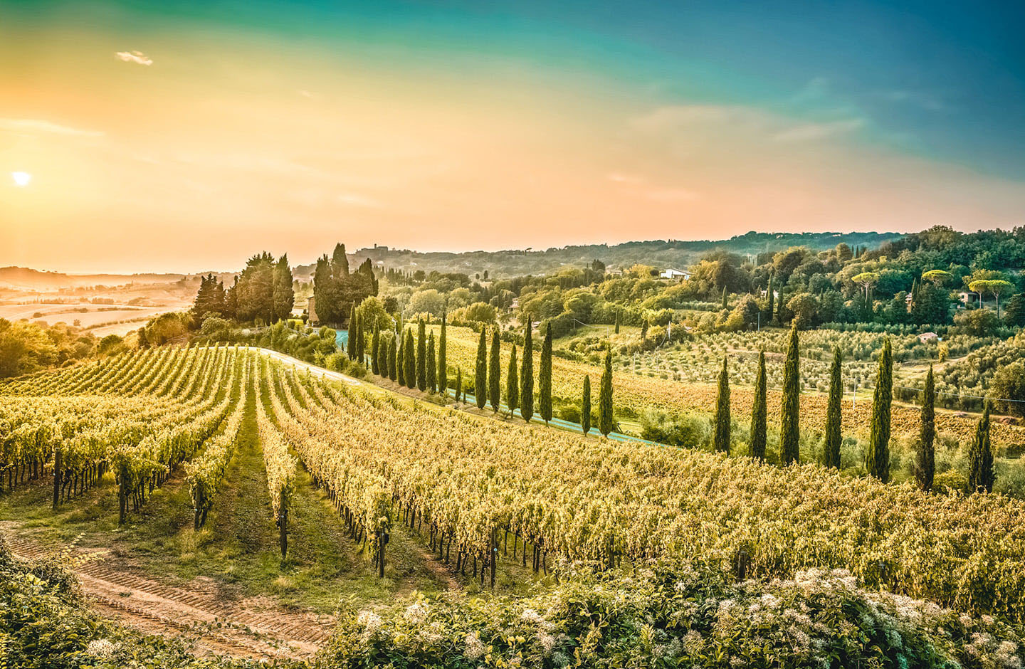 Gleni Wines