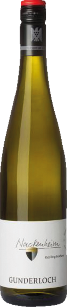 2022 Nackenheim Riesling Erste Lage BIO