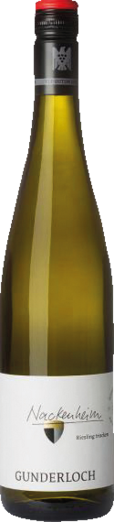 2025 Nackenheim Riesling Erste Lage BIO