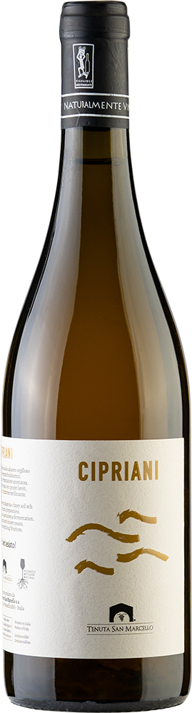 2025 Cipriani BIO